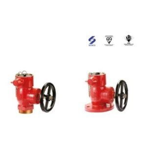 Fire Hydrant Valve BS 5041